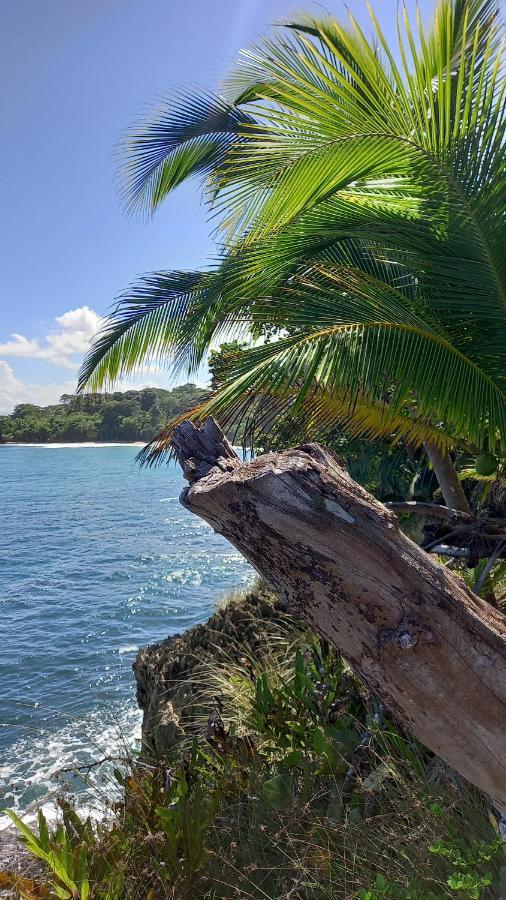Appartement Casa Lumiere à Bocas del Toro Extérieur photo