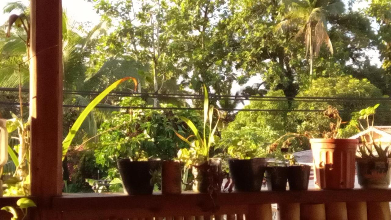 Appartement Casa Lumiere à Bocas del Toro Extérieur photo